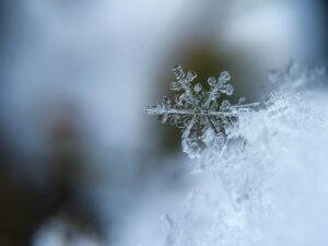 winter scene